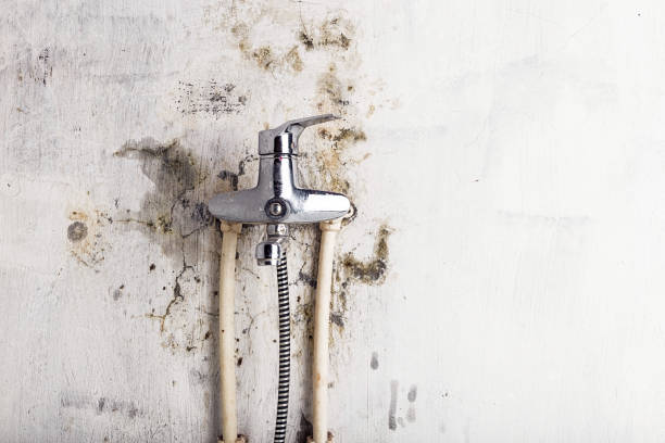 Best Mold Damage Repair  in Prineville, OR