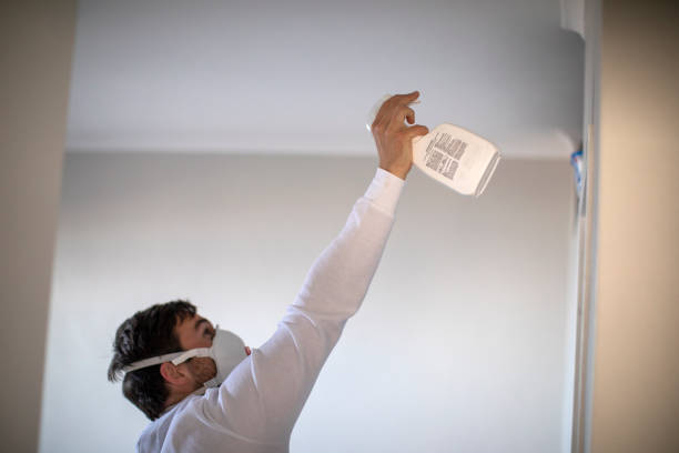 Best Office Mold Removal Services  in Prineville, OR