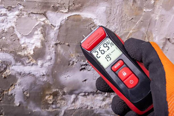 Best Water Damage Restoration  in Prineville, OR