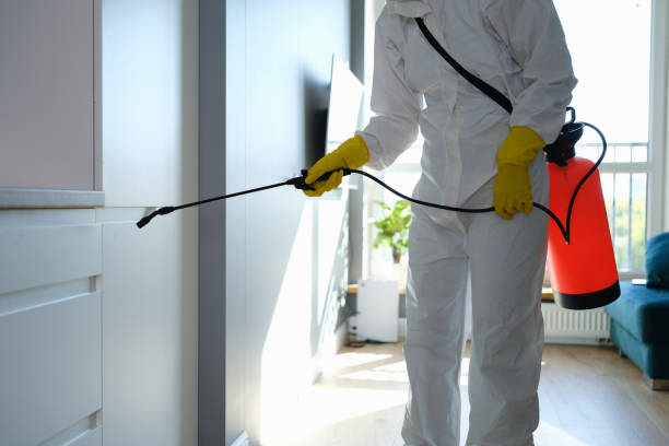Prineville, OR Mold Removal Company