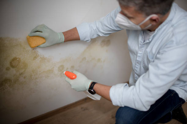 Best Mold Testing  in Prineville, OR
