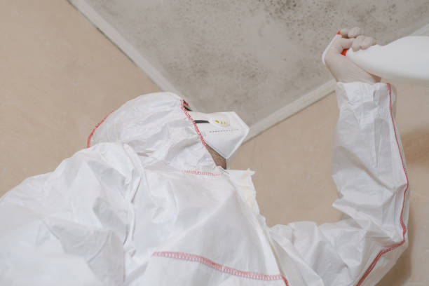 Best Professional Mold Removal  in Prineville, OR