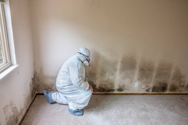 Crawl Space Mold Removal in Prineville, OR