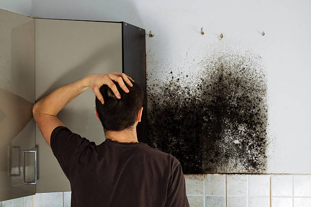 Best Mold Cleaning Services  in Prineville, OR